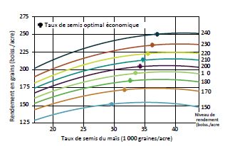 Réponse en rendement du maïs selon la population et le taux de semis économique optimal en fonction du niveau de rendement par site (moyenne sur sept ans de tous les hybrides testés).